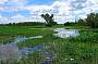 Yellow Water Billabong