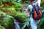 Wilderness Eco Safari