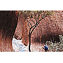 Ayers Rock Day Trip - from Alice Springs