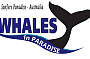 SUNSET Whale Watching & Canal Cruise - ex Gold Coast