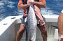 King Mackerel