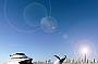 Whale boat and Surfers Paradise skyline