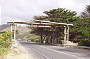 Great Ocean Road Day Tour
