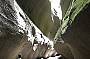 Carnarvon Gorge Outback Tour - Departs 1st or 2nd Monday - May to Oct
