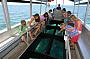 Discover the reef in a glass bottom boat