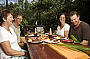 Lunch with the Lorikeets