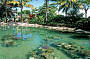 'Living Reef' Coral Lagoon, Daydream Island
