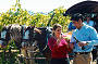 Deep in the Heart of the Vines