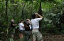 Tour 1  Rainforest Wildlife Tour (Was  Day/Night Rainforest and Wildlife Tour WAWT1-1)