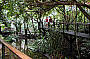 The Rainforest Habitat Wildlife Sanctuary