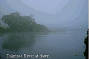 The Daintree River at dawn