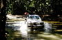 Creek Crossing Daintree Rainforest