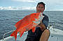 James with nice Red Emperor
