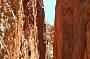 Standley Chasm in the Western MacDonnell Ranges