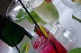 Aqua Latino Dinner and Salsa Cruise