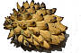 Rollina