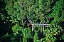  1 Day Mount Tamborine Rainforest Tour