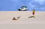 4 Wheel driving and sandboarding