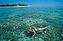 Snorkelling at Green Island