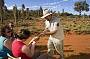 The Spirit Of Uluru