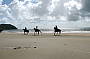 Cape Trib Horse Rides (Afternoon)