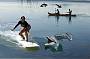 Surfing, kayaking and dolphins