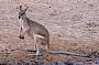 Tour 3 Birding and Wildlife Tour