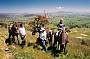 1 DAY HORSE RIDING - Winery Ride