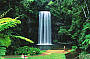 Millaa Millaa Falls