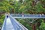 Tree Top Walk