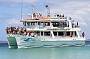 Dolphin Watch Cruises