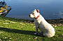 Molly Loves The River Murrey