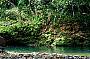 Private Rainforest Swim