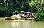 Army Duck Rainforest Tour at Rainforestation