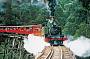 Half Day Puffing Billy and Dandenong Ranges,Half day with Tea (XK5)
