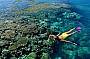 So Much Coral - Great Barrier Reef