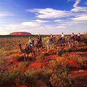 camel tours at ayers rock