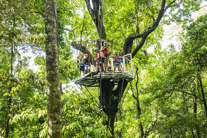 Our platforms are high up in the tree canopy