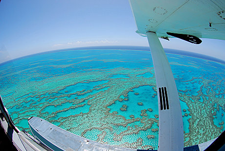 Hardy Reef at the Great Barrier Reef