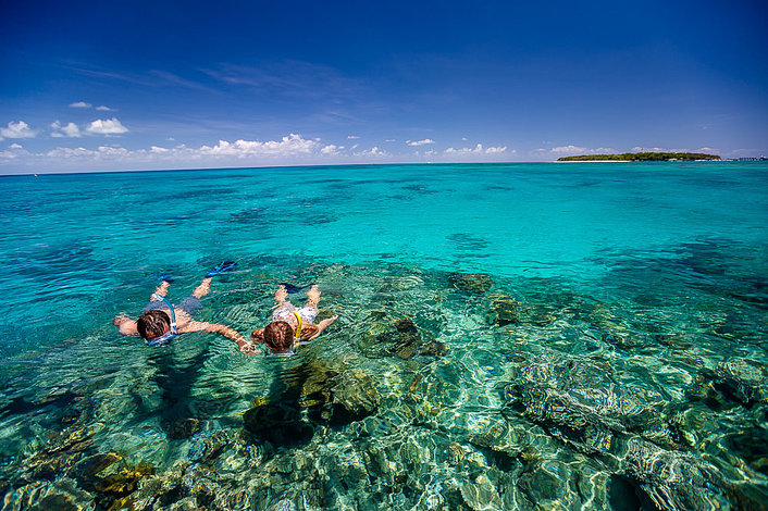 Join a boat snorkel trip offshore