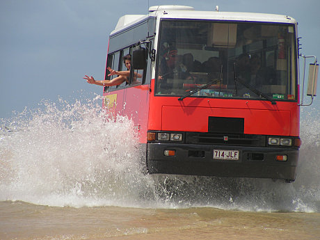 Luxury 4WD Buses - Fraser Island