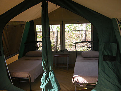 Cobourg Coastal Camp safari accommodation