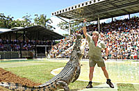 The late Steve Irwin getting cheeky with a crocodile