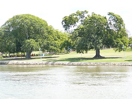 Pristine environment of the upper reaches of the Brisbane River
