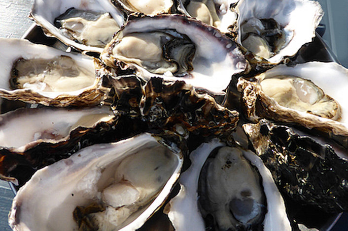 Taste our wonderful Bruny Island Oysters