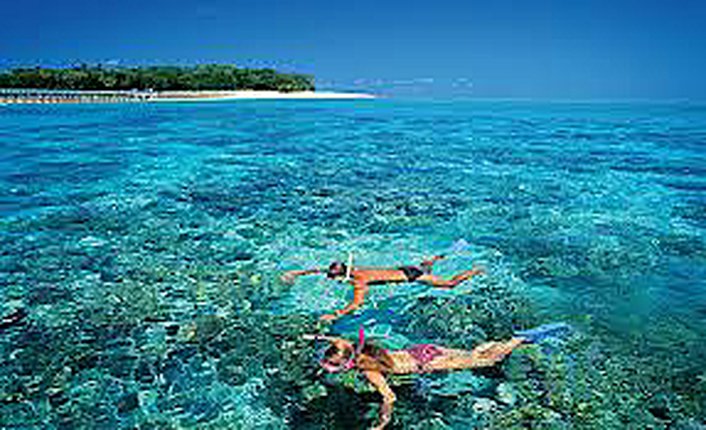 Snorkel or choose the Glass Bottom Boat Tour
