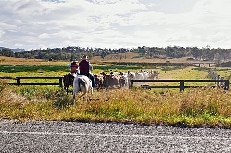 Typical country scene