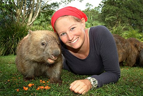 Wombat Encounter