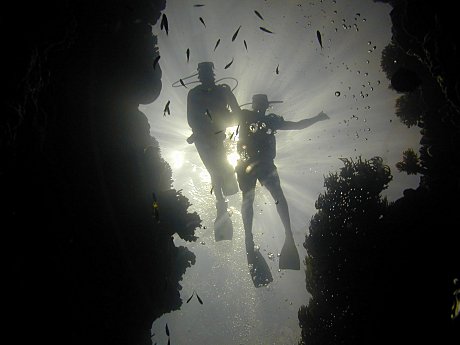 Divers Silhouette