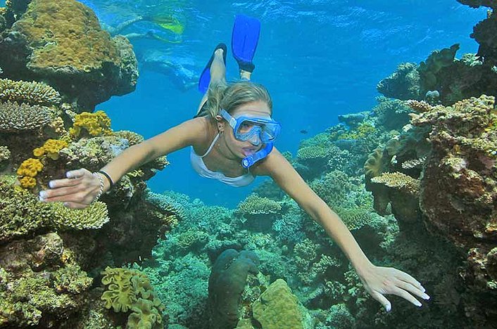 Snorkel through the coral formations
